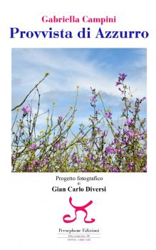 Provvista di Azzurro